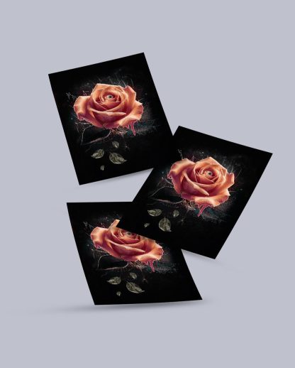 Dark Rose - Image 2