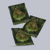 Alligator Turtle - Image 2