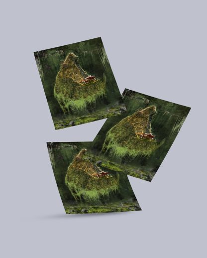 Alligator Turtle - Image 2